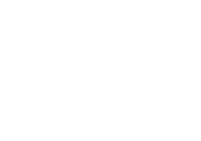 Custos Arms